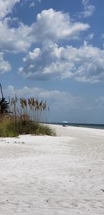 Scenic view of beach against sky