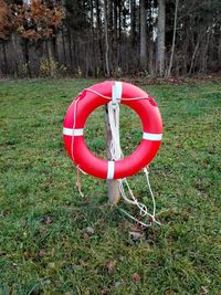 Red wooden post on field in forest