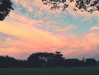 Silhouette trees on field against sky at sunset