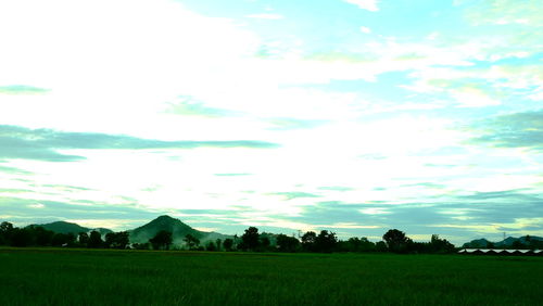 Scenic view of agricultural field against sky