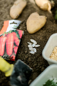 Close-up of food on table