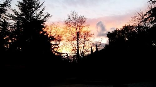 Low angle view of bare trees against sky