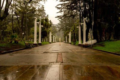 Walkway amidst trees against sky