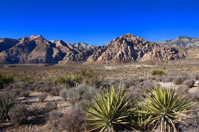 Scenic view of desert against blue sky