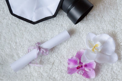 High angle view of white flowers on table