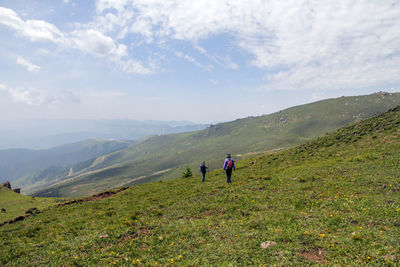 Beautiful green and charming outdoor alpine meadow under the blue sky and white clouds