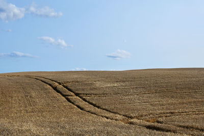 Scenic view of agricultural field against sky