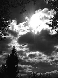 Low angle view of silhouette trees against sky