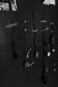 Close-up of wooden door