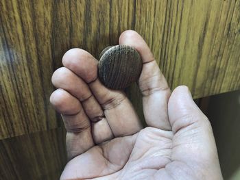 Close-up of hand holding shell