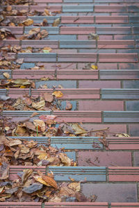 High angle view of dry leaves on wood during autumn