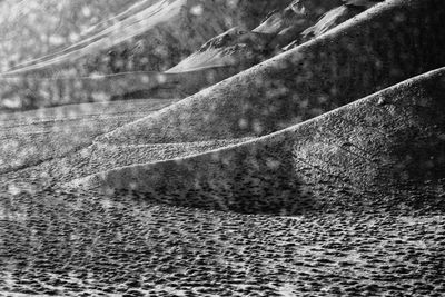 High angle view of trees