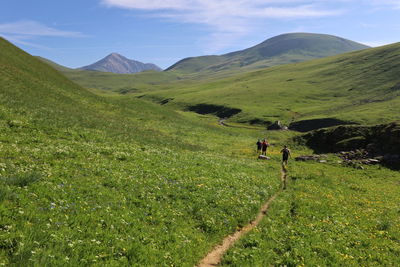 landscape