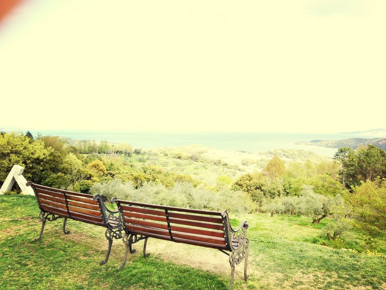 bench, tranquil scene, empty, tranquility, sea, horizon over water, chair, absence, water, scenics, grass, clear sky, beauty in nature, nature, seat, relaxation, tree, beach, park bench, sky