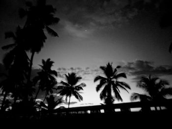 Low angle view of silhouette palm trees against sky