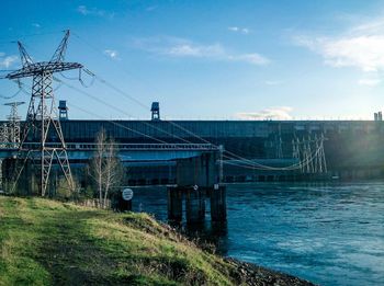 Reflection of trees in water