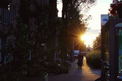People walking on city street at sunset