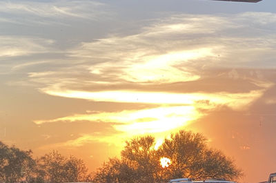 Low angle view of silhouette trees against sky during sunset