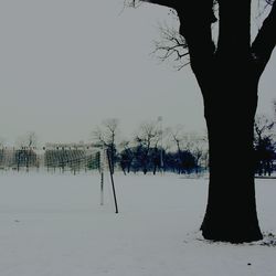 Bare trees against sky