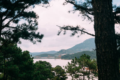 Scenic view of lake by trees against sky