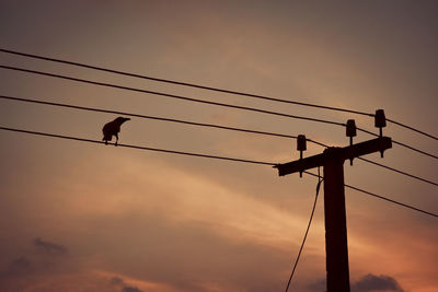 Low angle view of silhouette bird perching on electric pole cable against sky during sunset