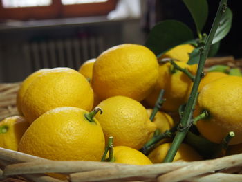 Close-up of oranges