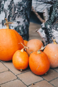 Close-up of orange pumpkins