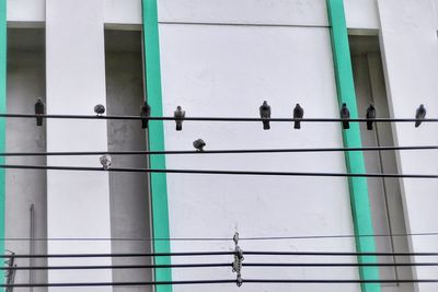 Low angle view of railing against building