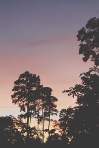 Low angle view of silhouette trees against sky at sunset