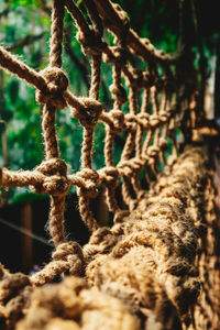 Close-up of rope on fence