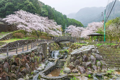 Footpath and bridge along cascading water and sakura at okawachiyama village, imari, saga, japan. 