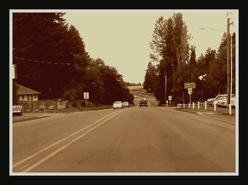 Road passing through trees