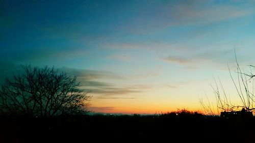 Silhouette trees on field against sky at sunset