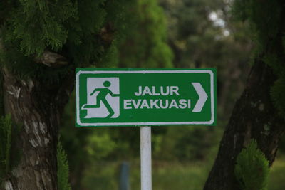 Close-up of road sign on tree trunk