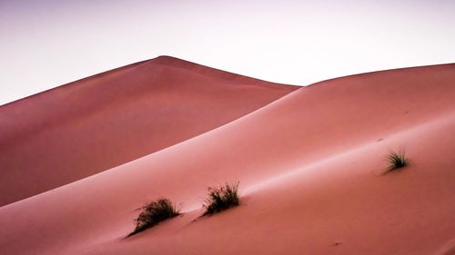 Low angle view of desert against clear sky