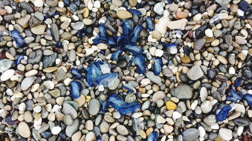 Full frame shot of pebbles on beach