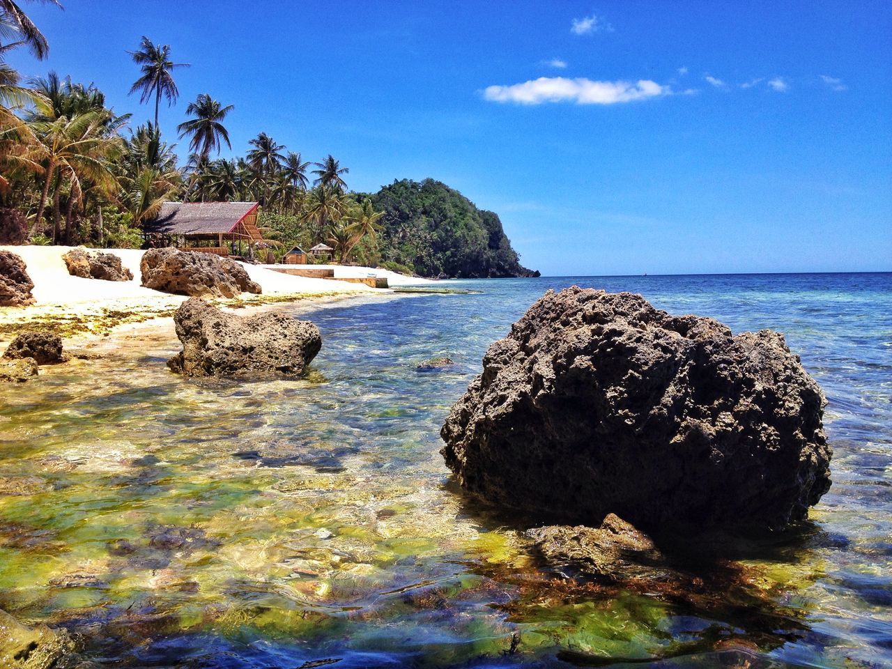 sea, water, sky, rock - object, horizon over water, beach, tranquility, tranquil scene, scenics, blue, rock formation, nature, beauty in nature, shore, tree, sunlight, rock, idyllic, stone - object, coastline