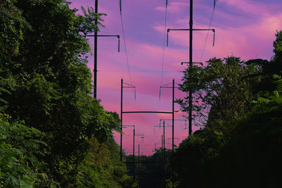 Low angle view of trees against sky during sunset