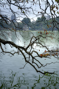 High angle view of bare tree by lake against sky