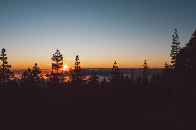 Silhouette trees against sky during sunset