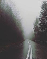 Road passing through trees against clear sky during winter