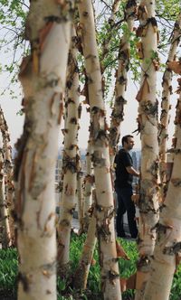 Young man standing on tree