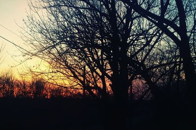 Silhouette of bare trees against sky at sunset