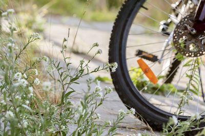 Close-up of bicycle wheel on field