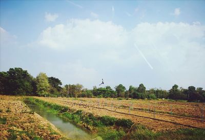 Scenic view of field against sky