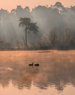 Scenic view of lake