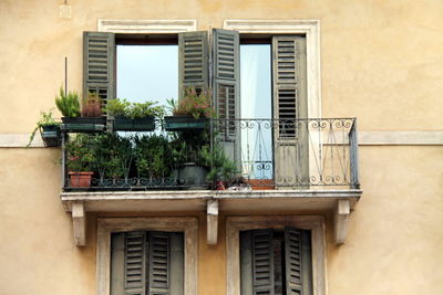 Potted plants on balcony