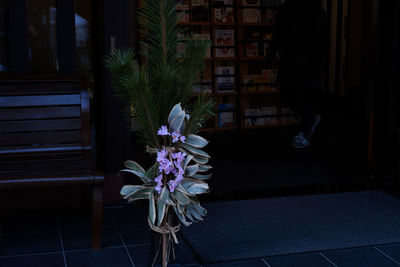 Flower plant in front of building