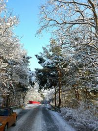 Road passing through trees