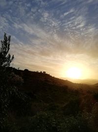 Scenic view of field against sky during sunset